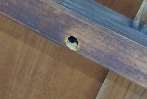 クマバチの巣駆除一階軒下
